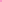 Candy Pink Damask